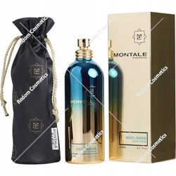 Montale Paris Aoud Lagoon woda perfumowana unisex 100 ml